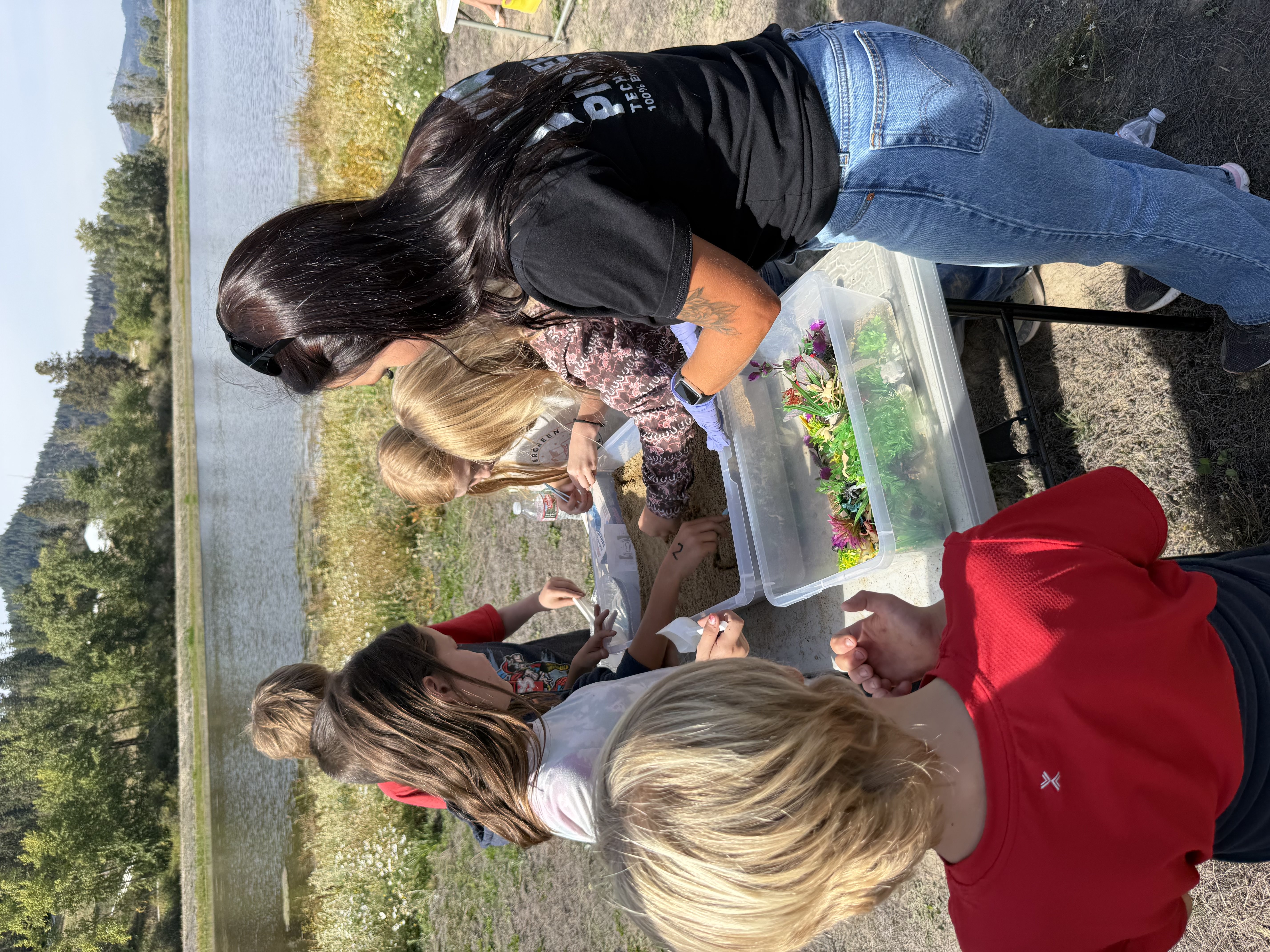 pictures of kids on a field trip to wetlands