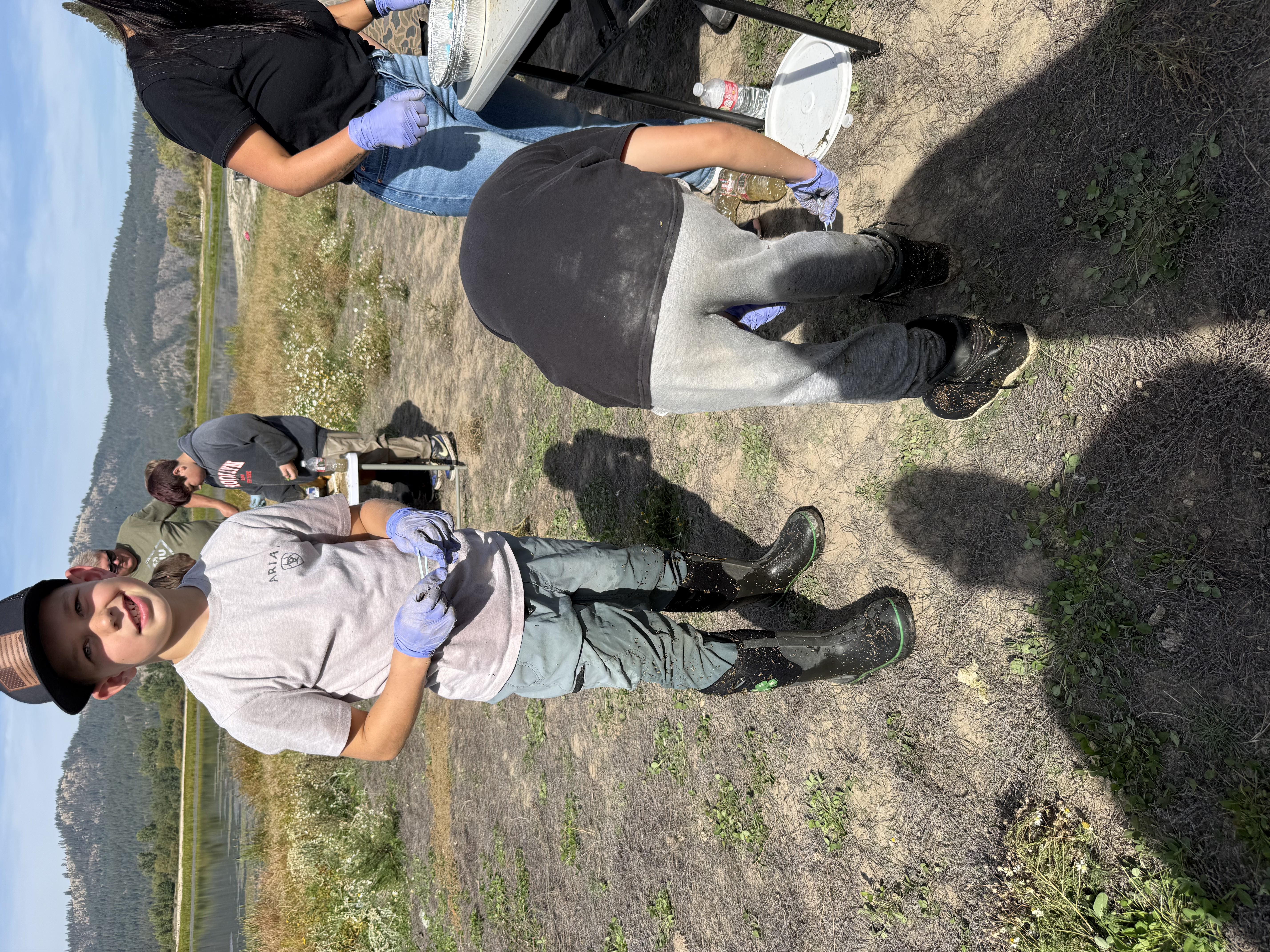 pictures of kids on a field trip to wetlands
