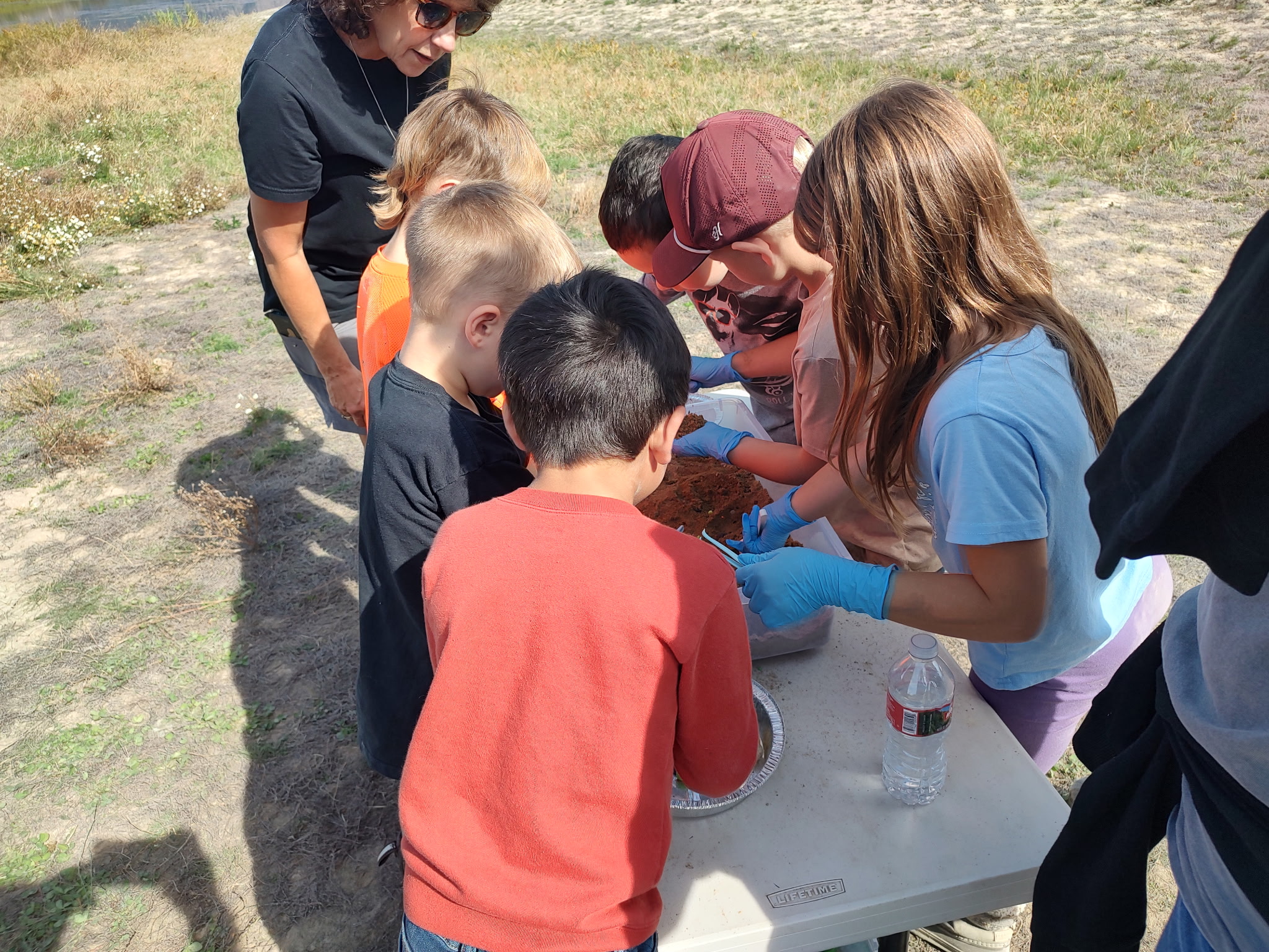 pictures of kids on a field trip to wetlands
