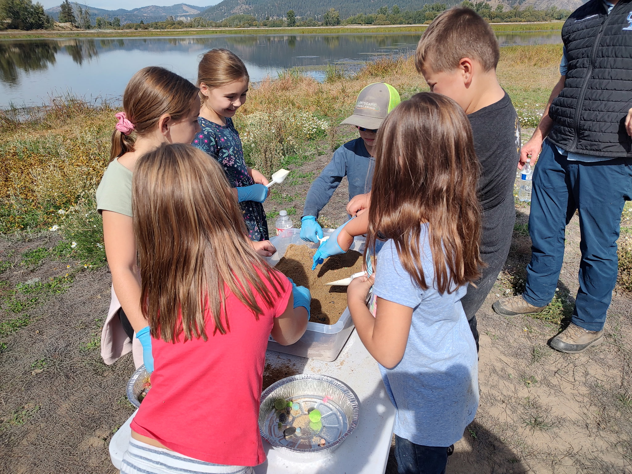 pictures of kids on a field trip to wetlands