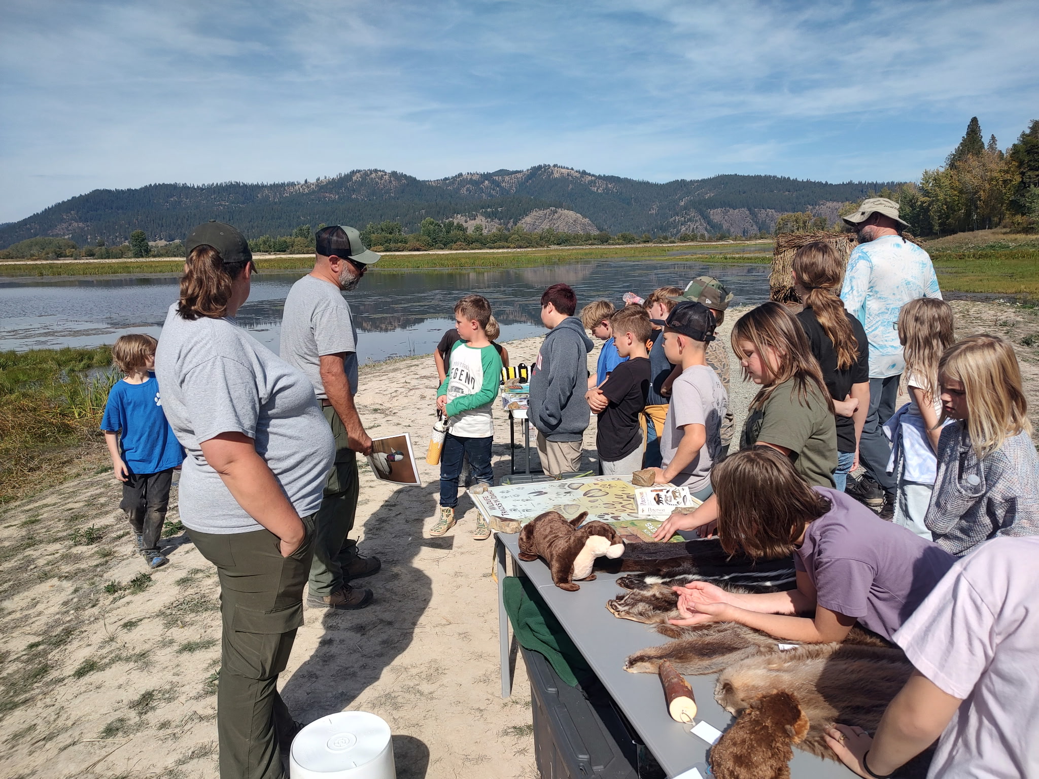 pictures of kids on a field trip to wetlands