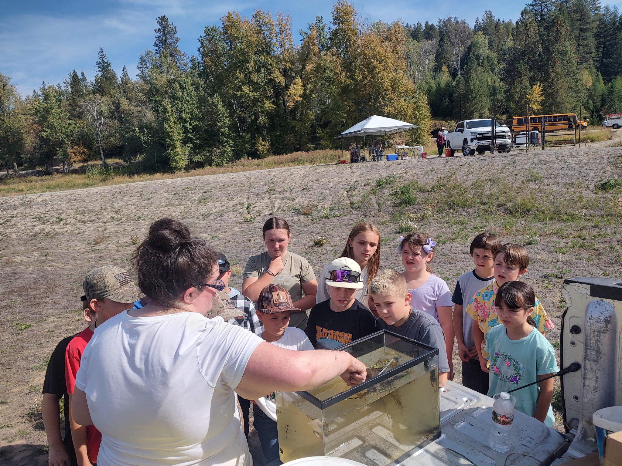pictures of kids on a field trip to wetlands