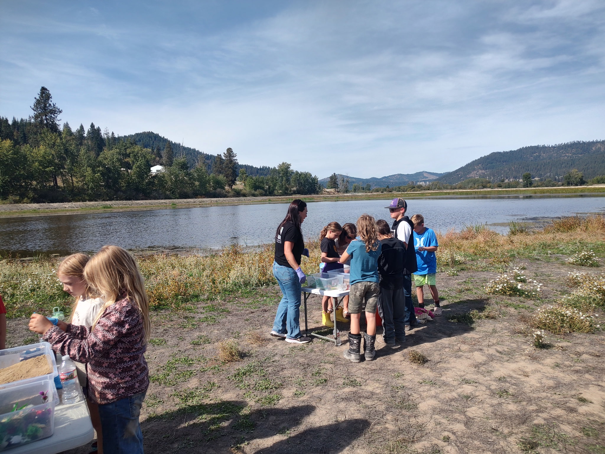 pictures of kids on a field trip to wetlands