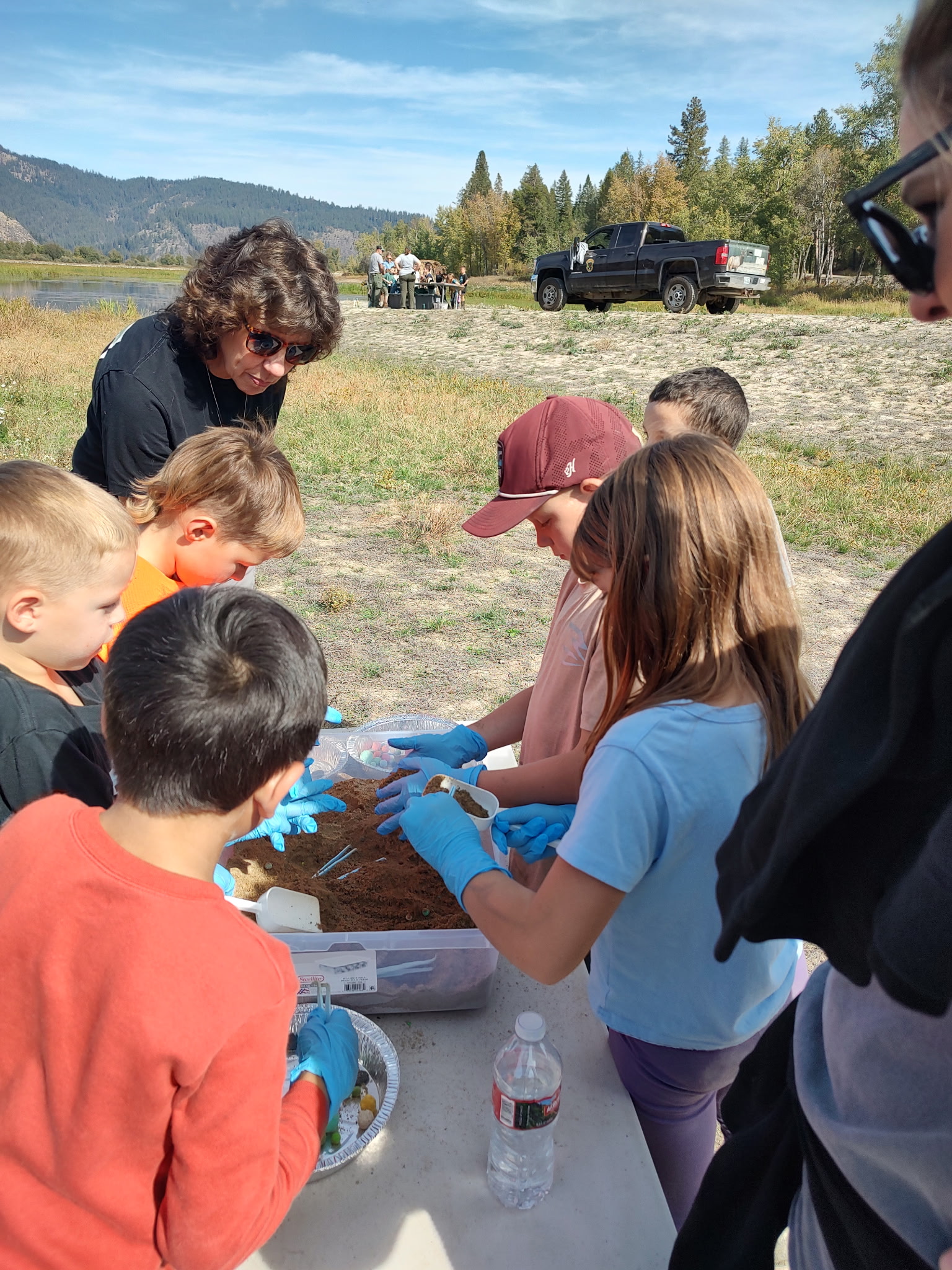 pictures of kids on a field trip to wetlands