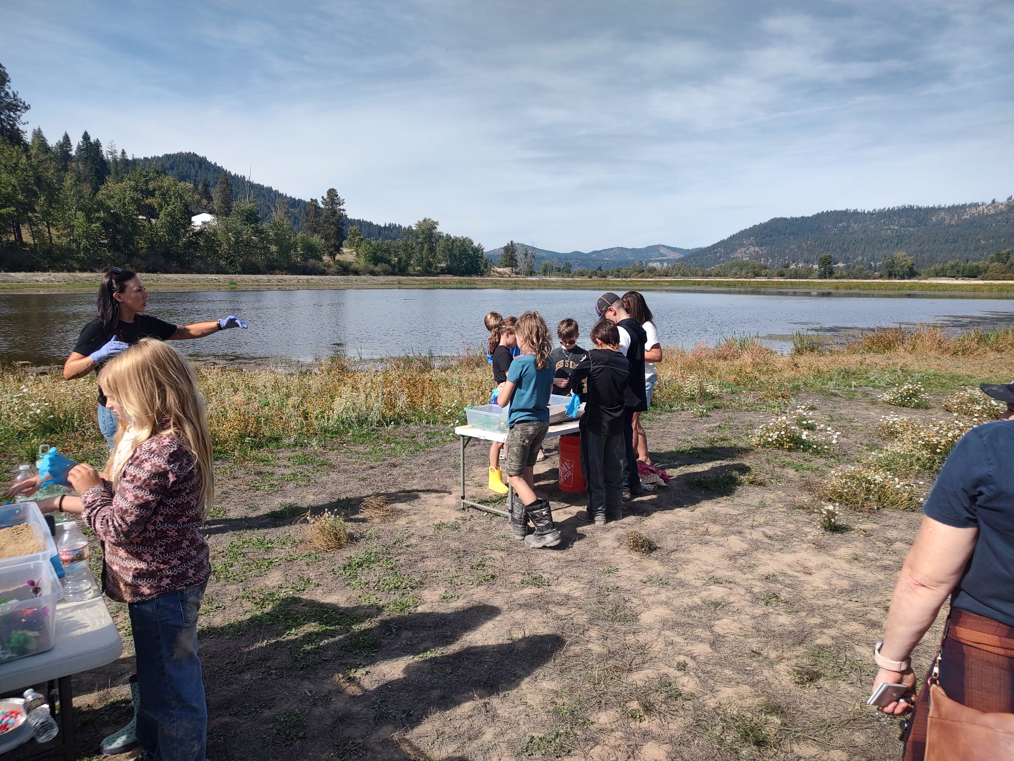 pictures of kids on a field trip to wetlands