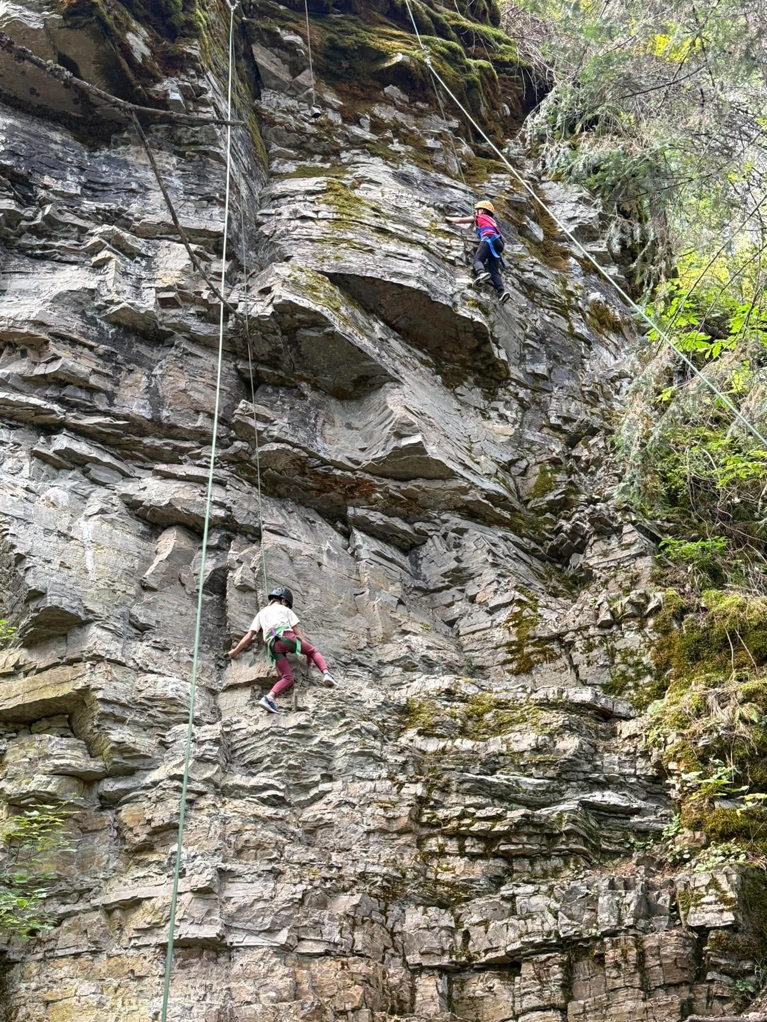 students on a field trip