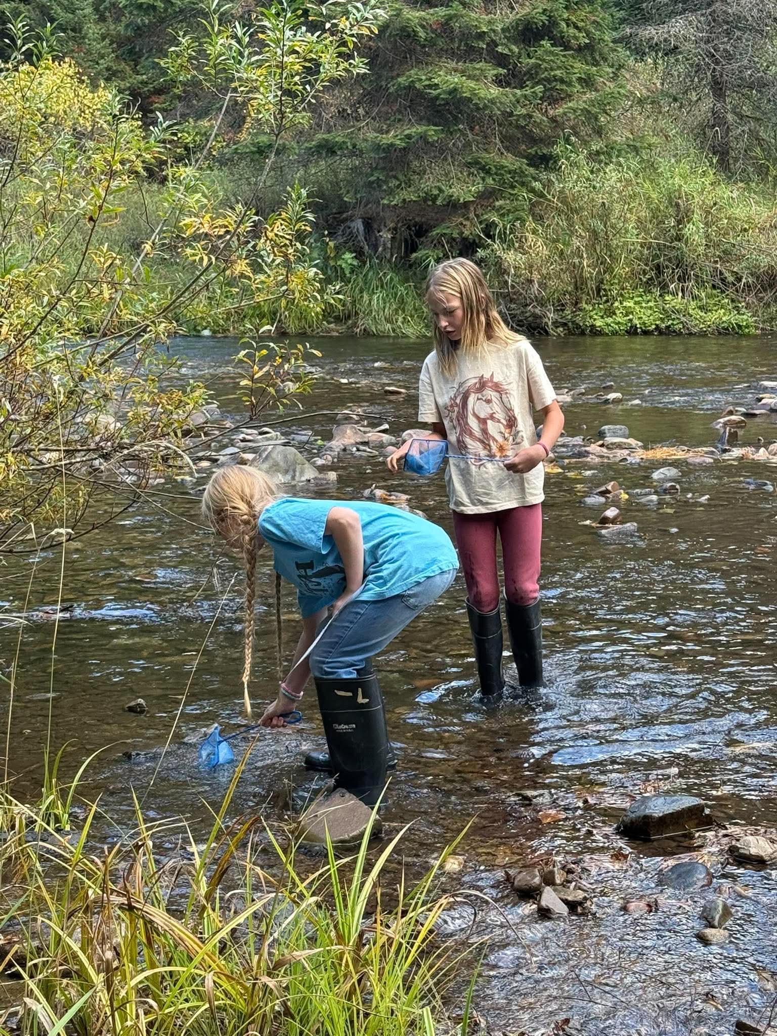 students on a field trip