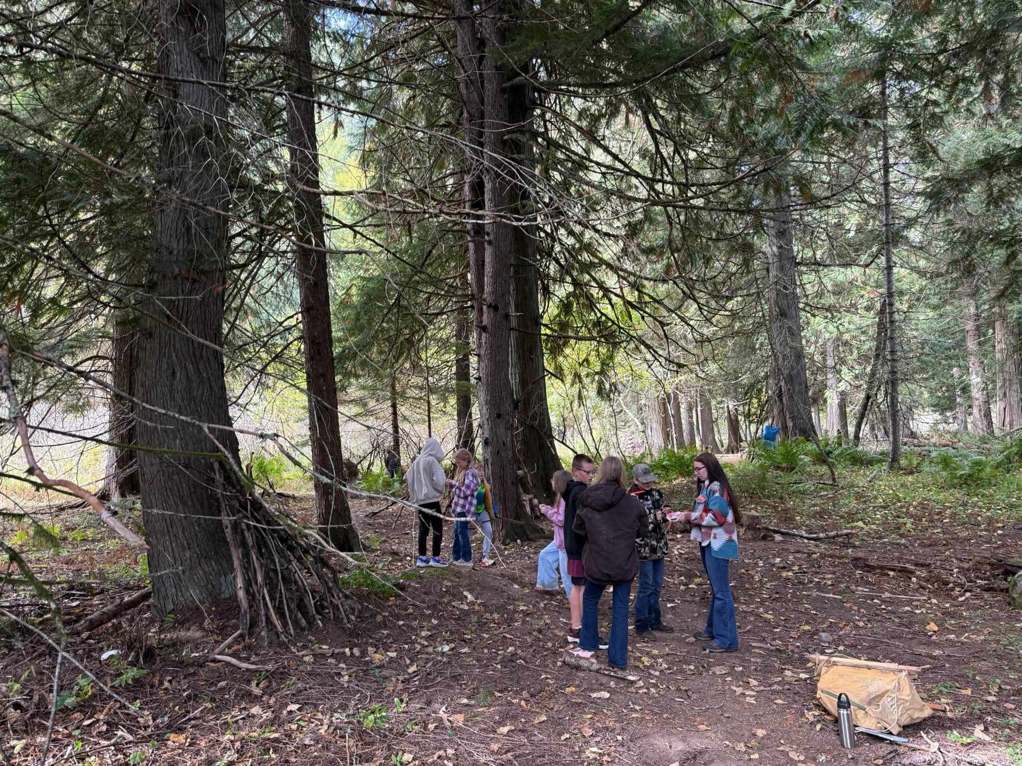 students on a field trip