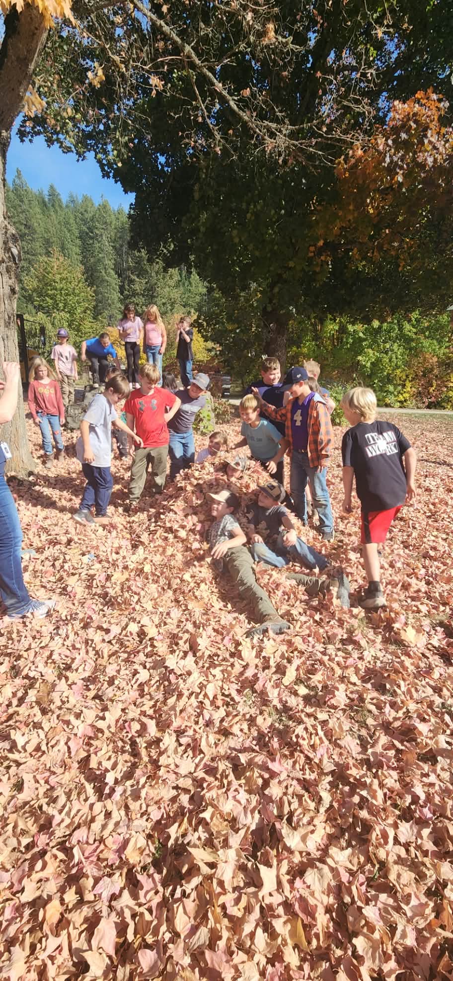 kids on a field trip to cataldo mission
