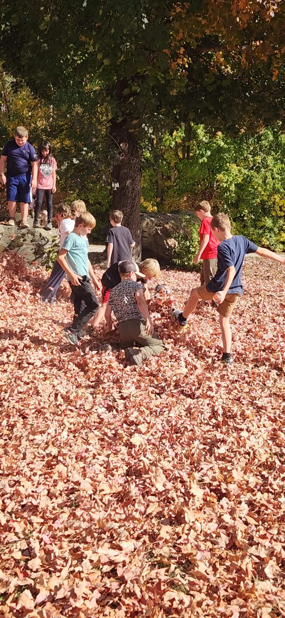 kids on a field trip to cataldo mission