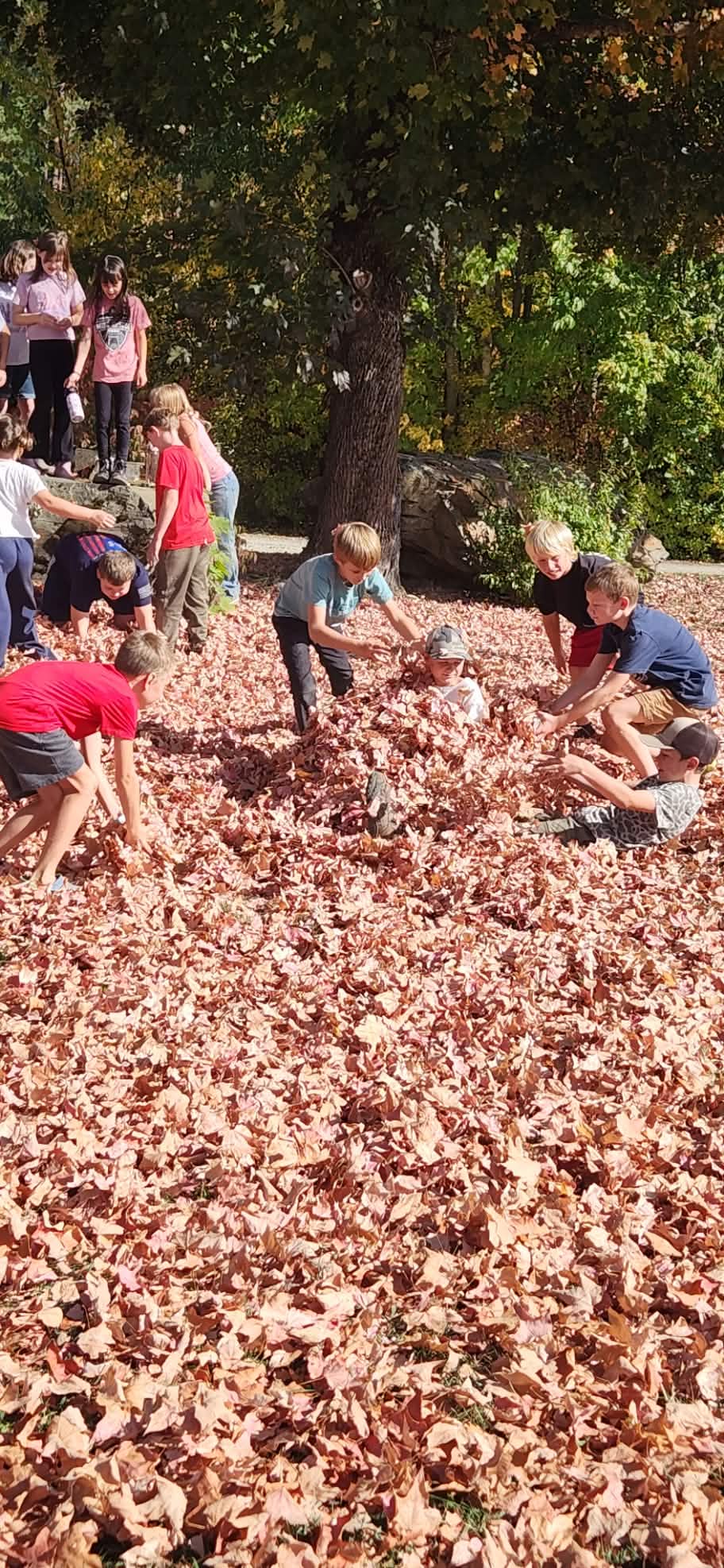 kids on a field trip to cataldo mission