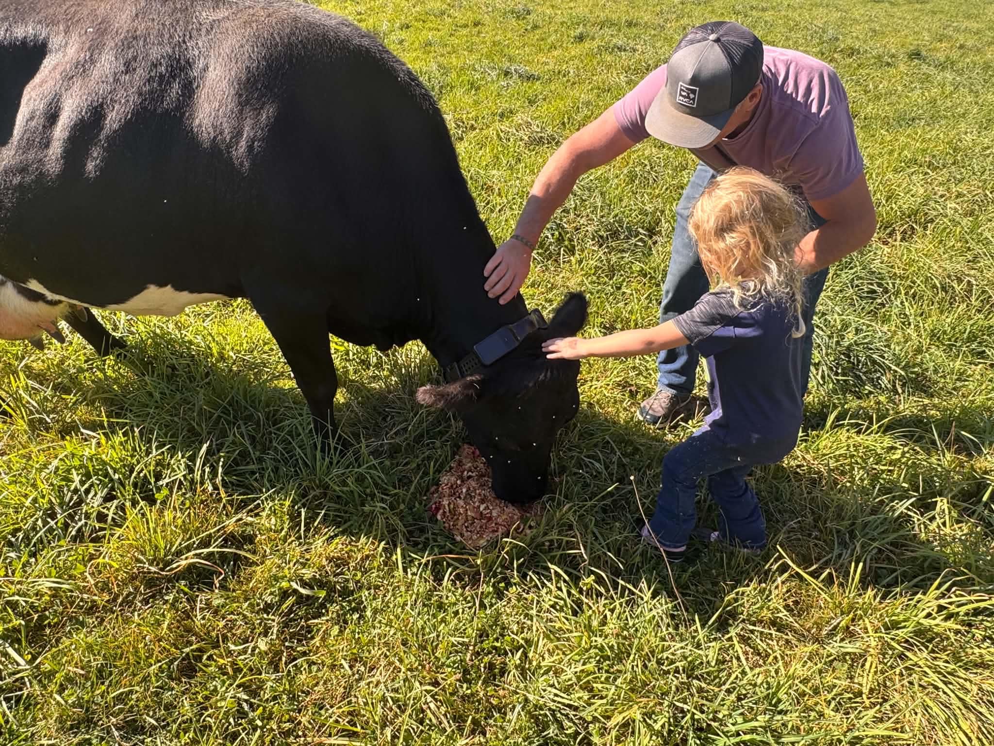 students on field trip to farm