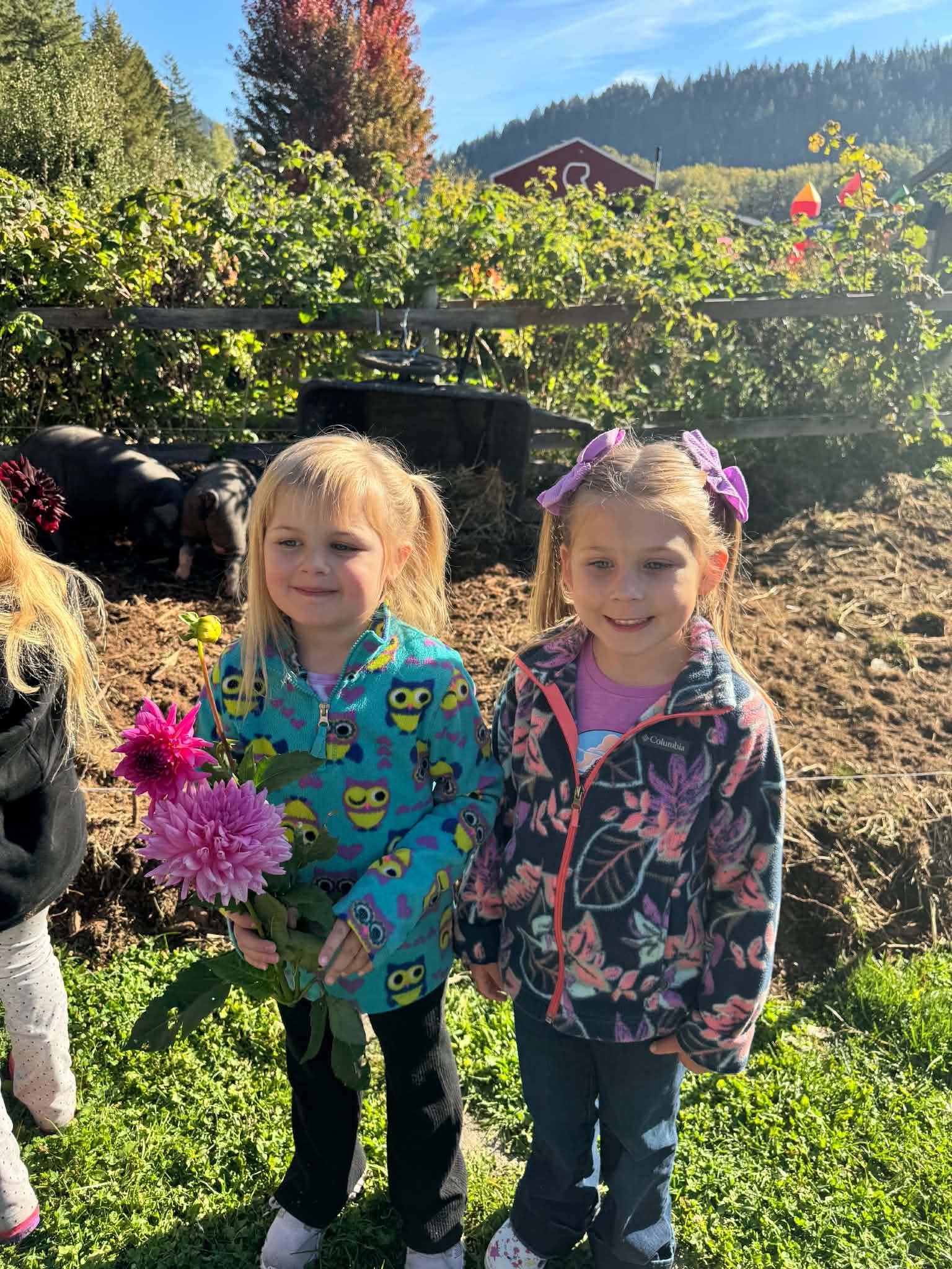 students on field trip to farm