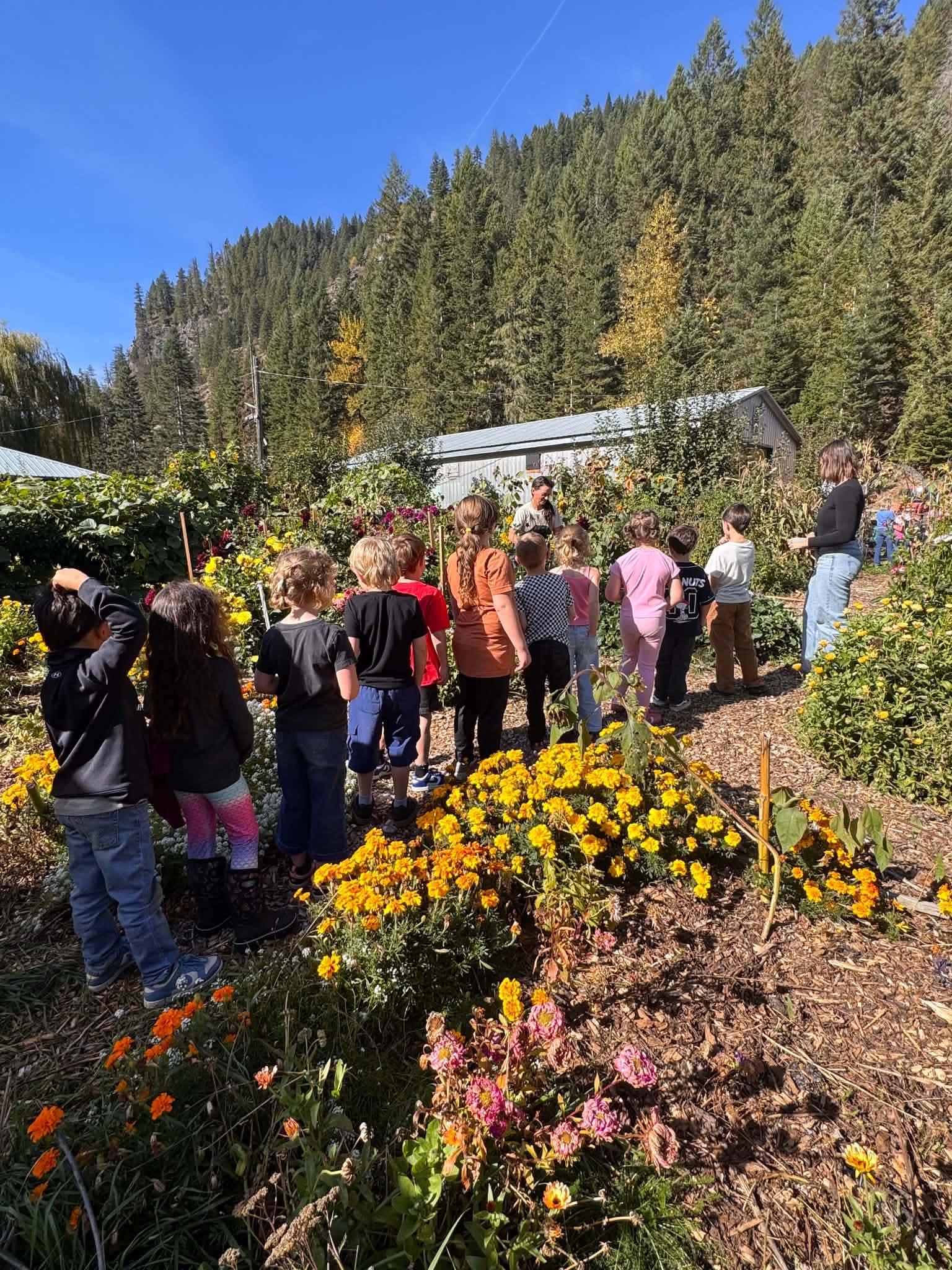 students on field trip to farm