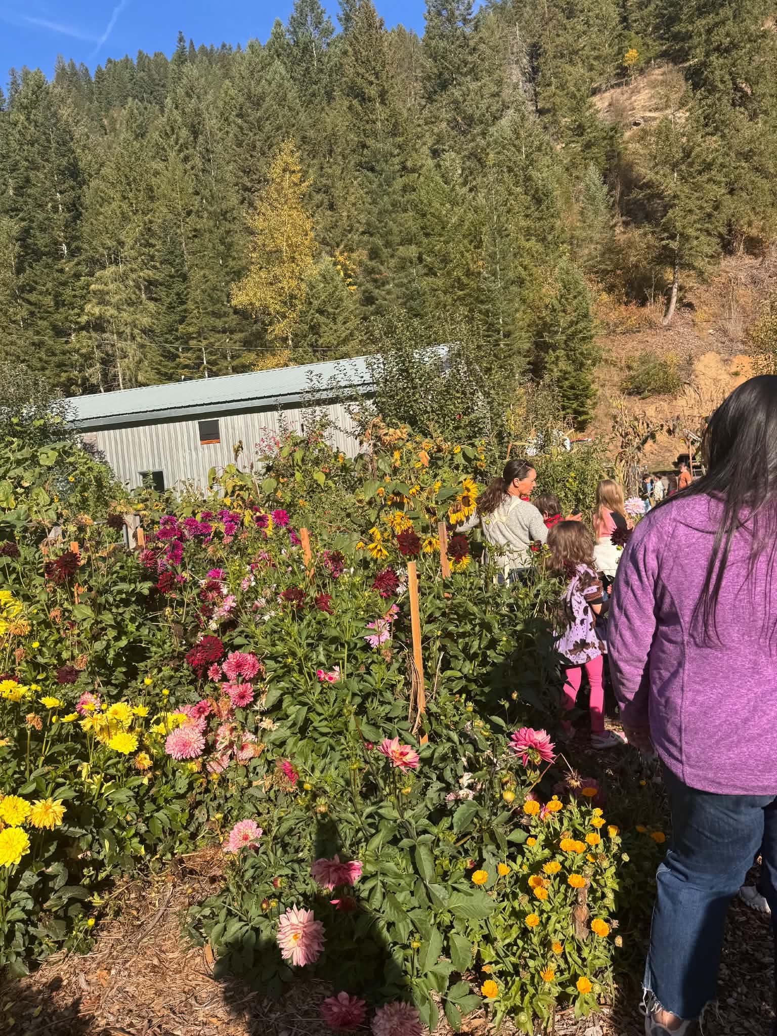 students on field trip to farm