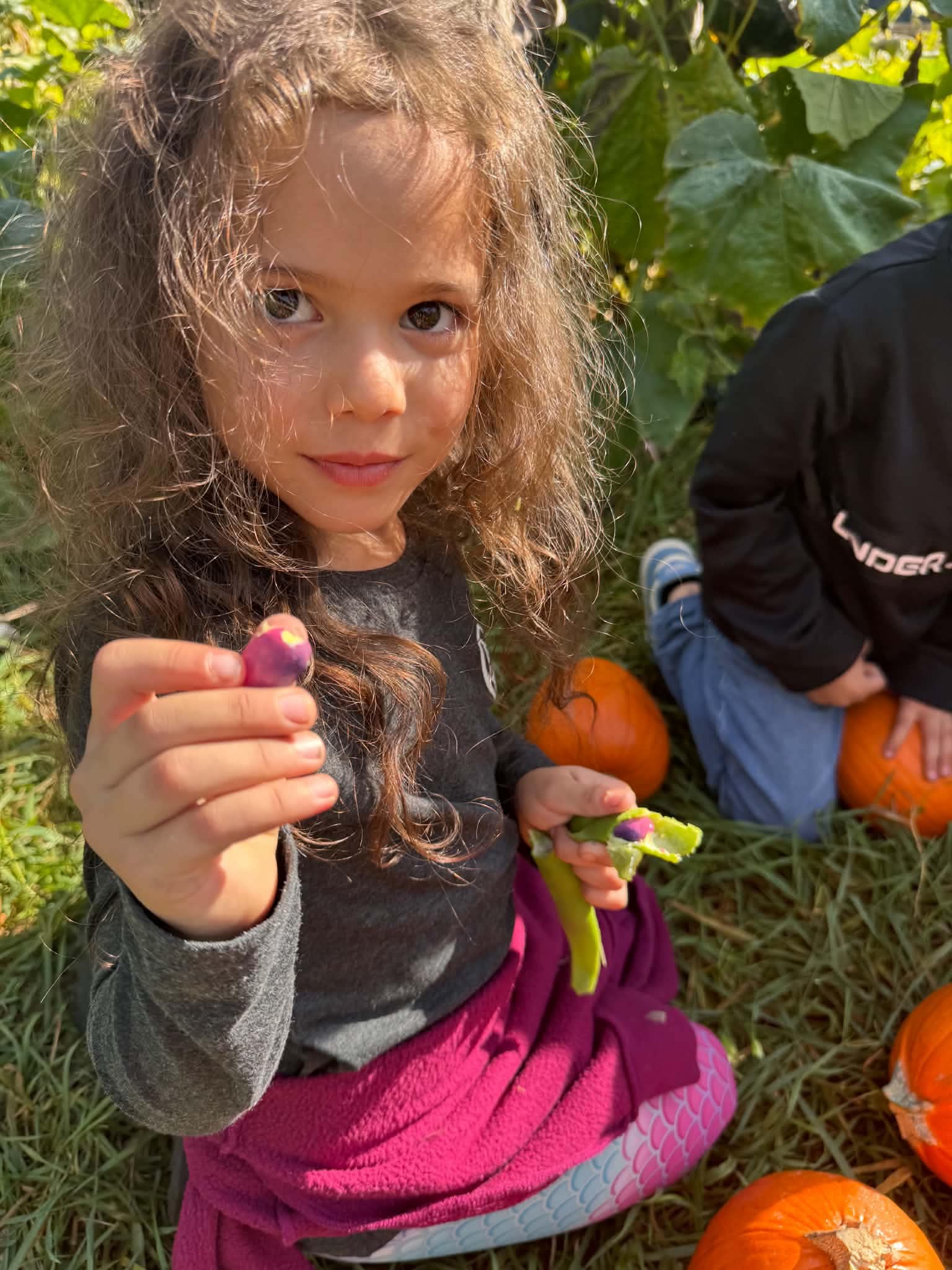 students on field trip to farm