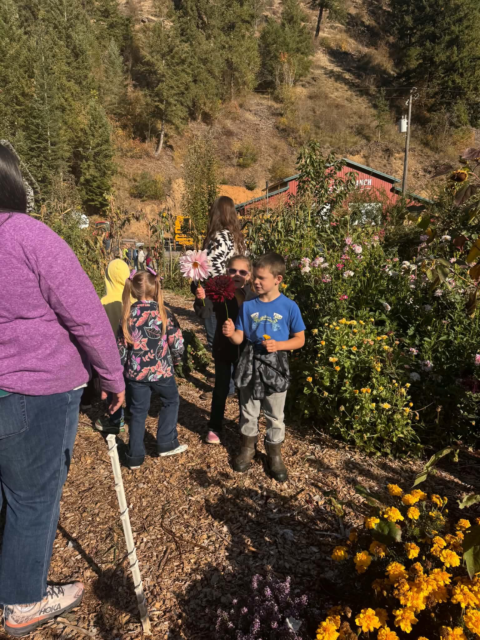 students on field trip to farm