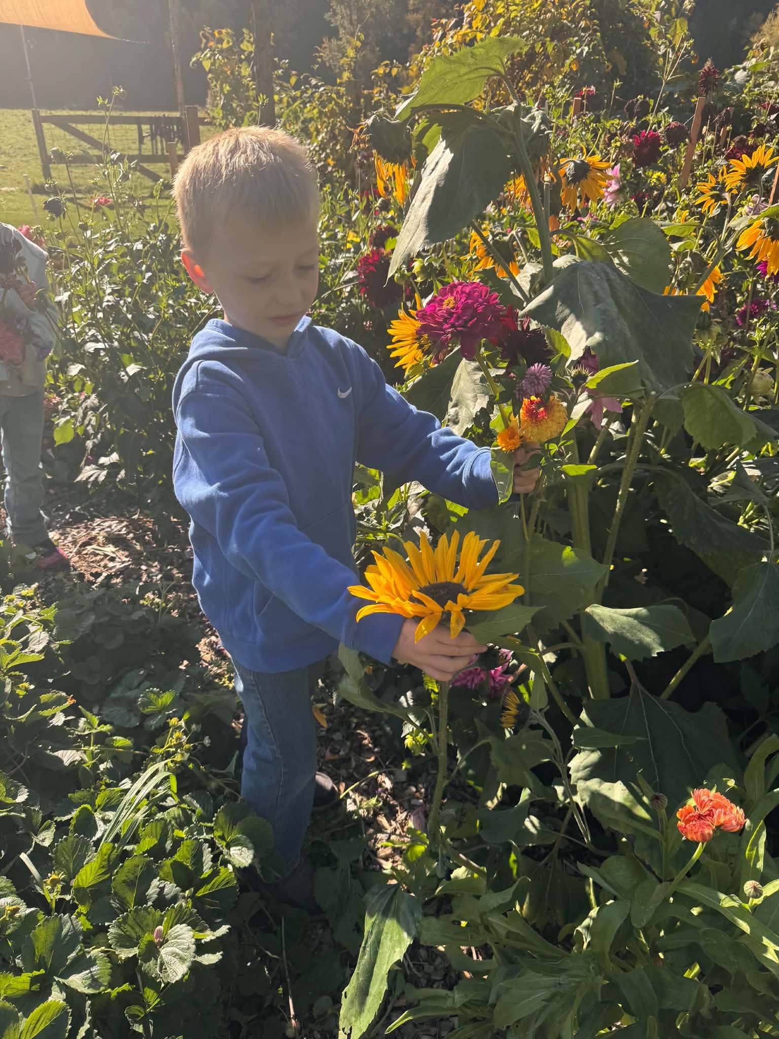 students on field trip to farm