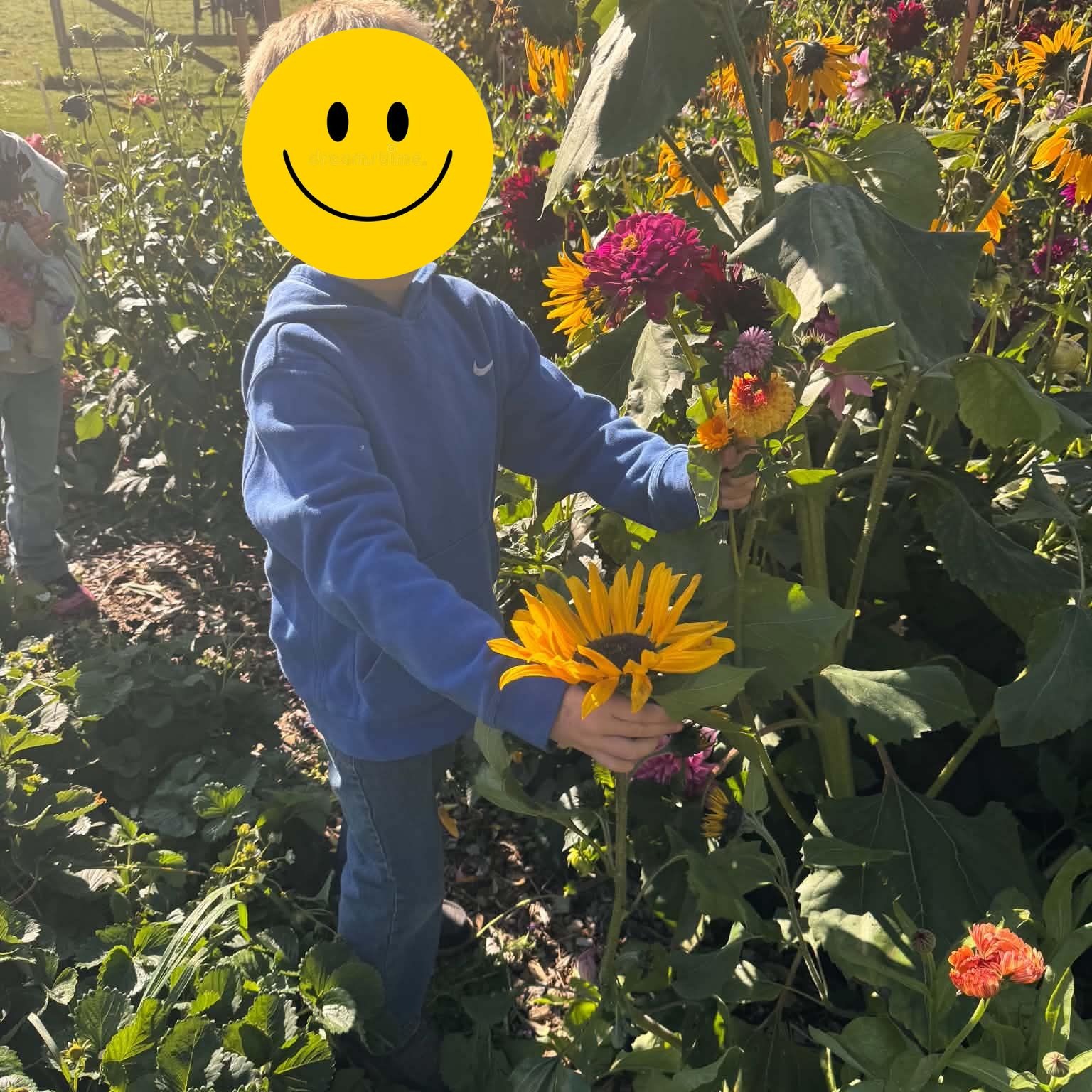 students on field trip to farm