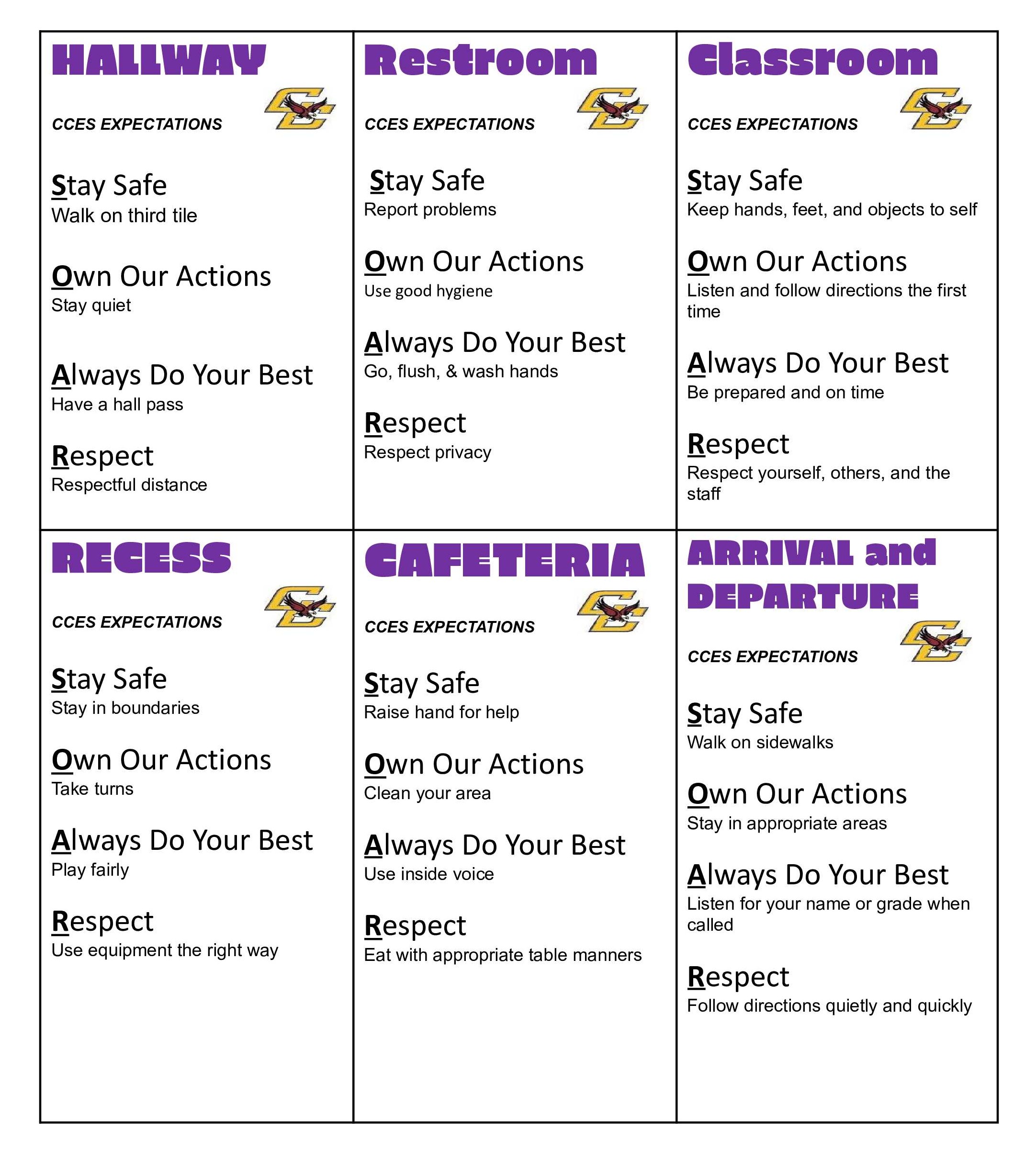 pbis matrix