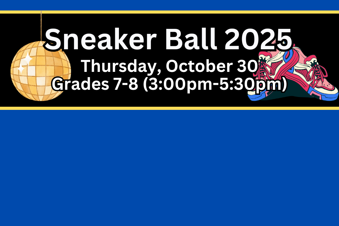 sneaker ball