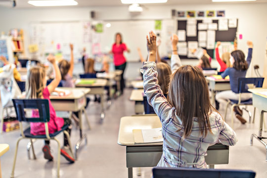Students in classroom raising their hands