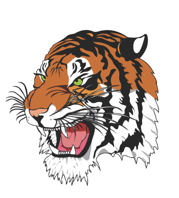 Tiger face logo