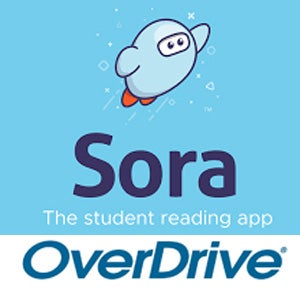 Sora Logo