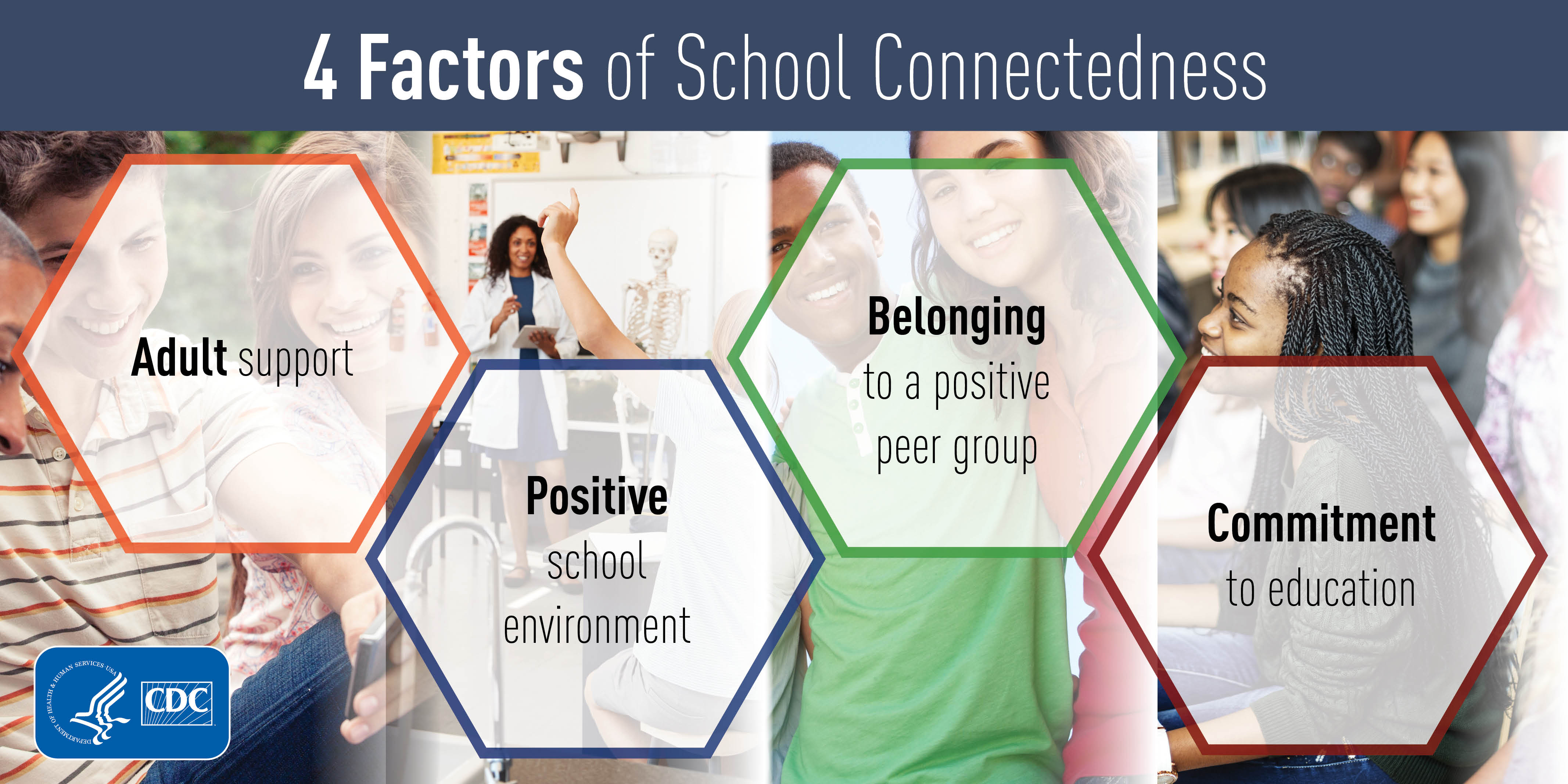 4 factors of school connectedness: adult support; positive school environment; belonging to a positive peer group; commitment to education