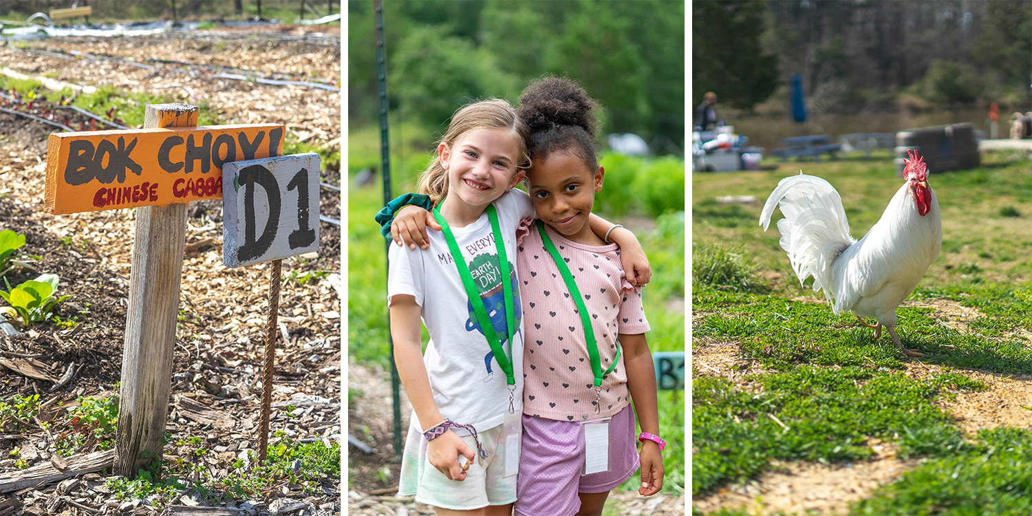 hub farm photos
