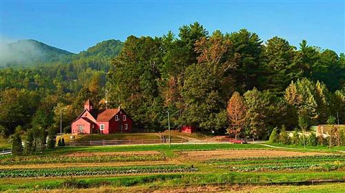 north carolina farm