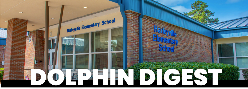 Dolphin Digest Picture