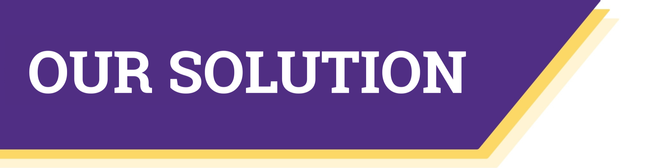 Our Solution