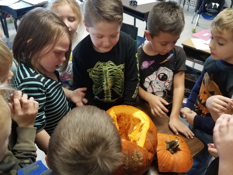 Mrs. Woodson’s first grade class using pumpkins