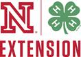 N Extension logo