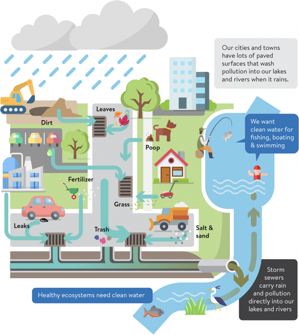 Graphic depicting how stormwater can wash pollution directly to our streams and rivers