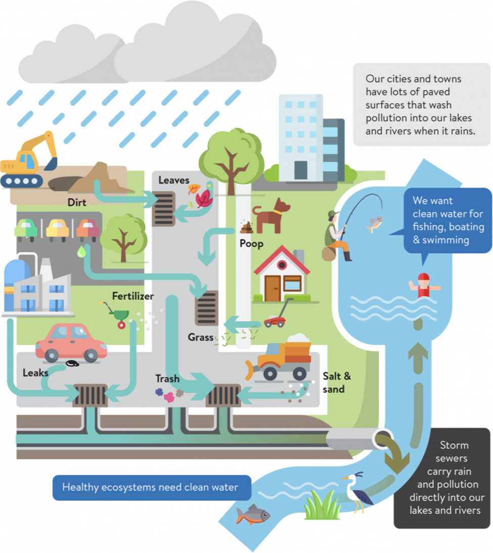 Diagram showing how rain and snowmelt runoff on roofs and pavement picks up pollutants and carries them through storm drains to local streams and rivers.