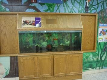 A large fish tank sitting on top of a wooden cabinet