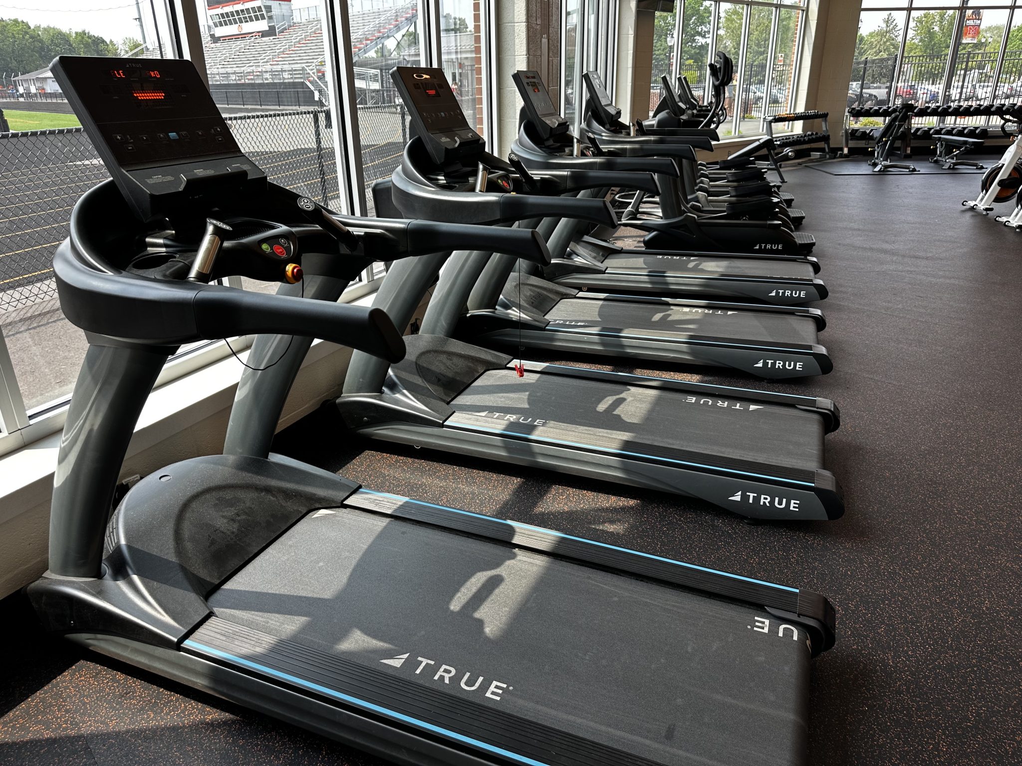  A row of treadmills lined up in a bright gym, with sunlight streaming through a large window.