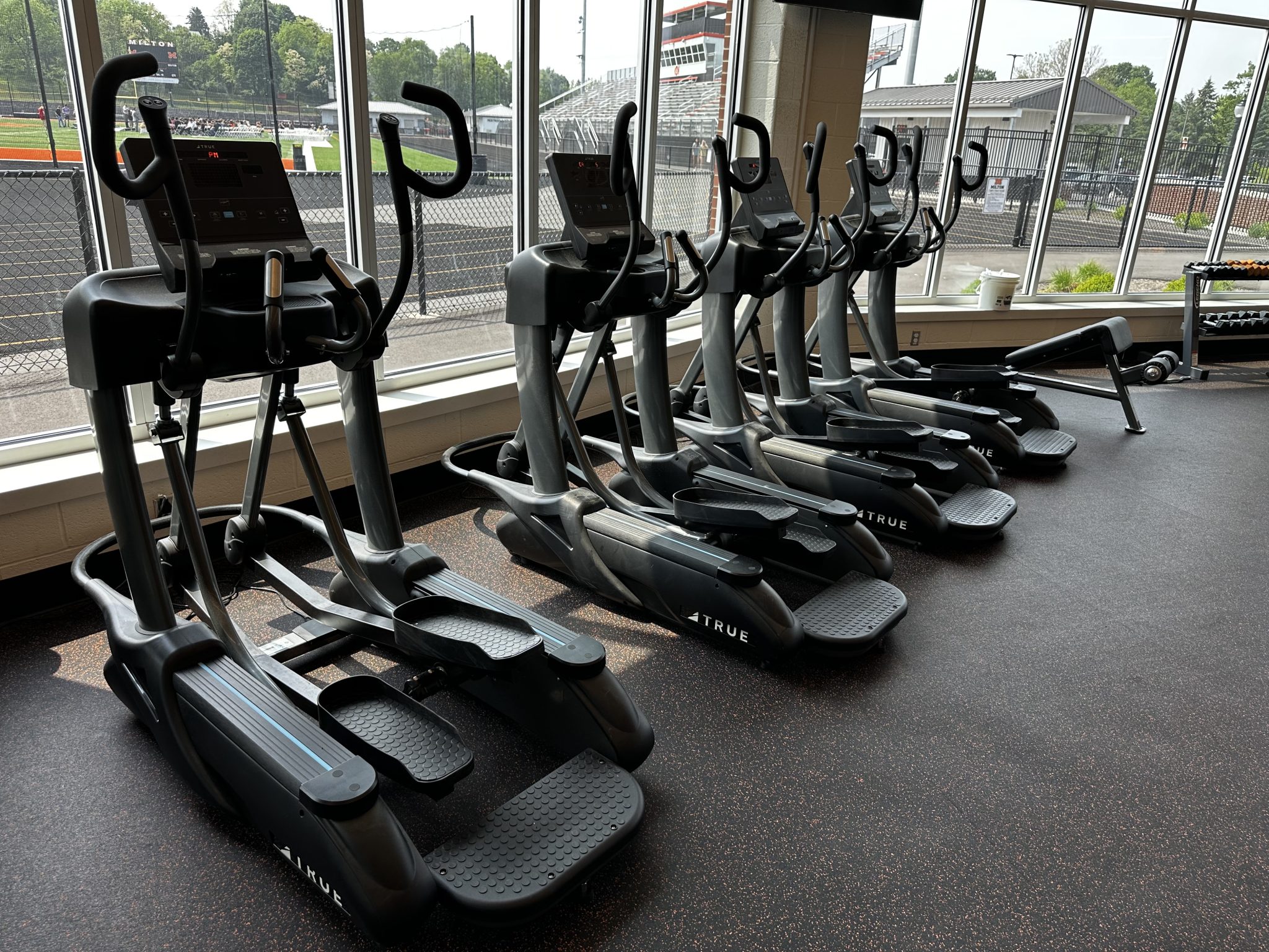  A row of treadmills lined up in a bright gym, with sunlight streaming through a large window.