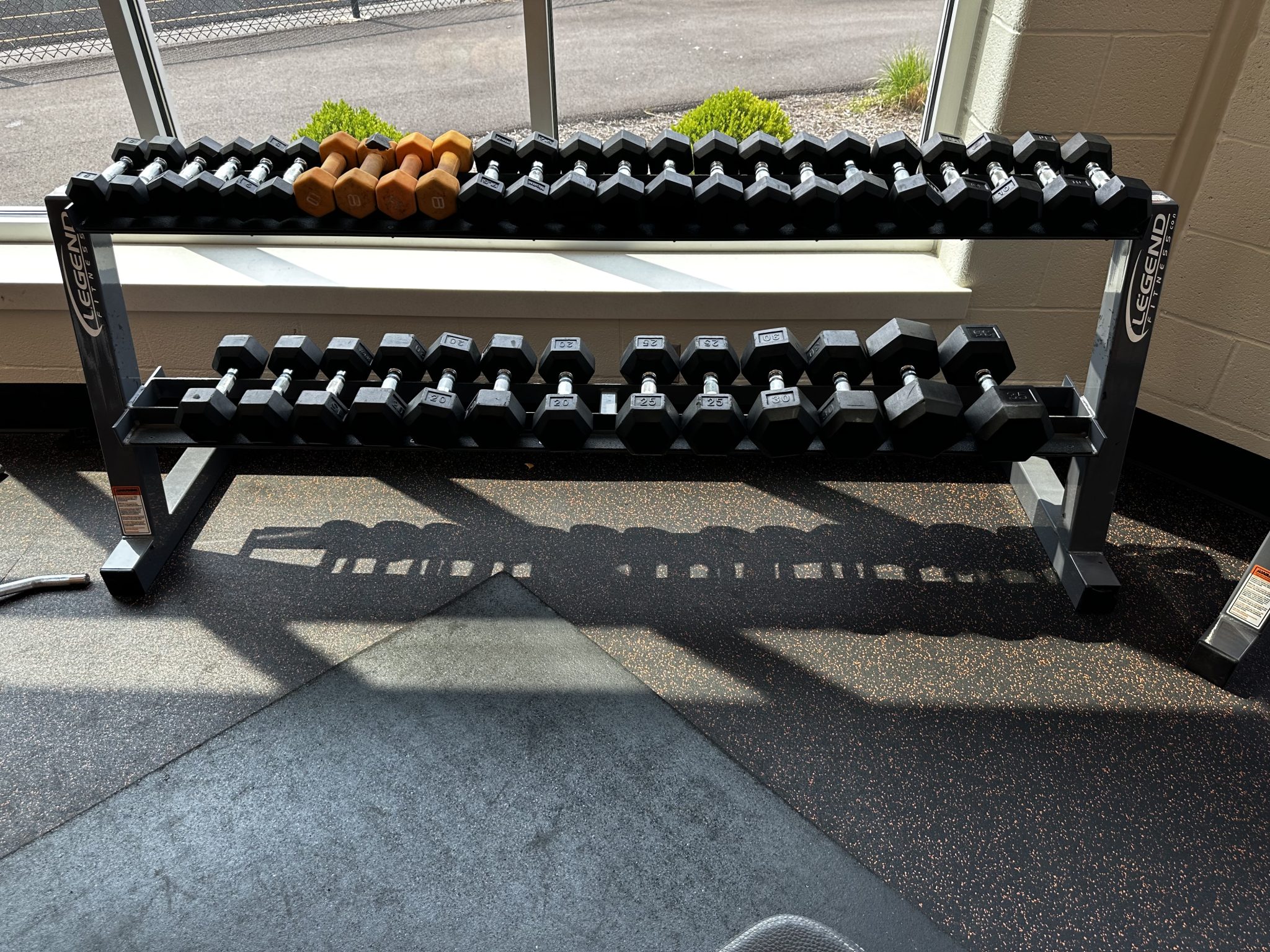 A bright gym room featuring a row of colorful dumbbells lined up next to a large window letting in natural light.