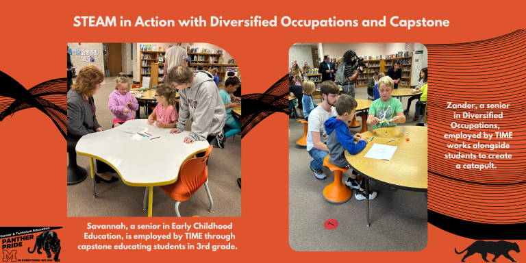 STEAM: Diversified Occupations & Capstone