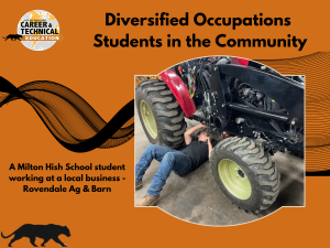 Diversified Occupations Students in the Community