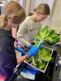 Two girls in a kitchen preparing food