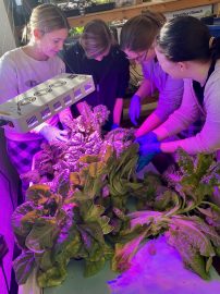 A diverse group of people tending to various plants inside a bright