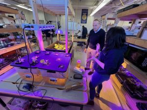  Two people working in a lab illuminated by a soft purple light