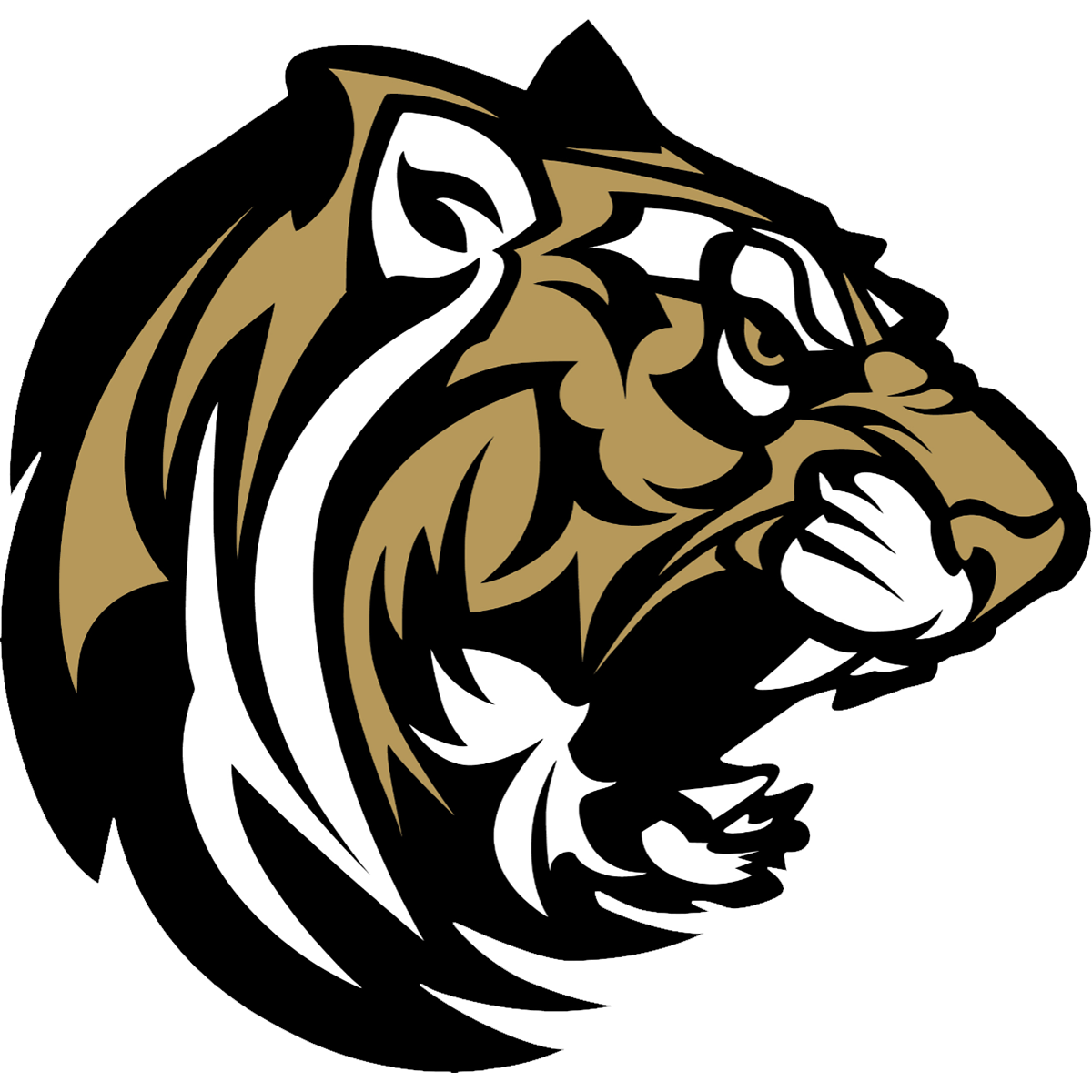 Conroe Tigers