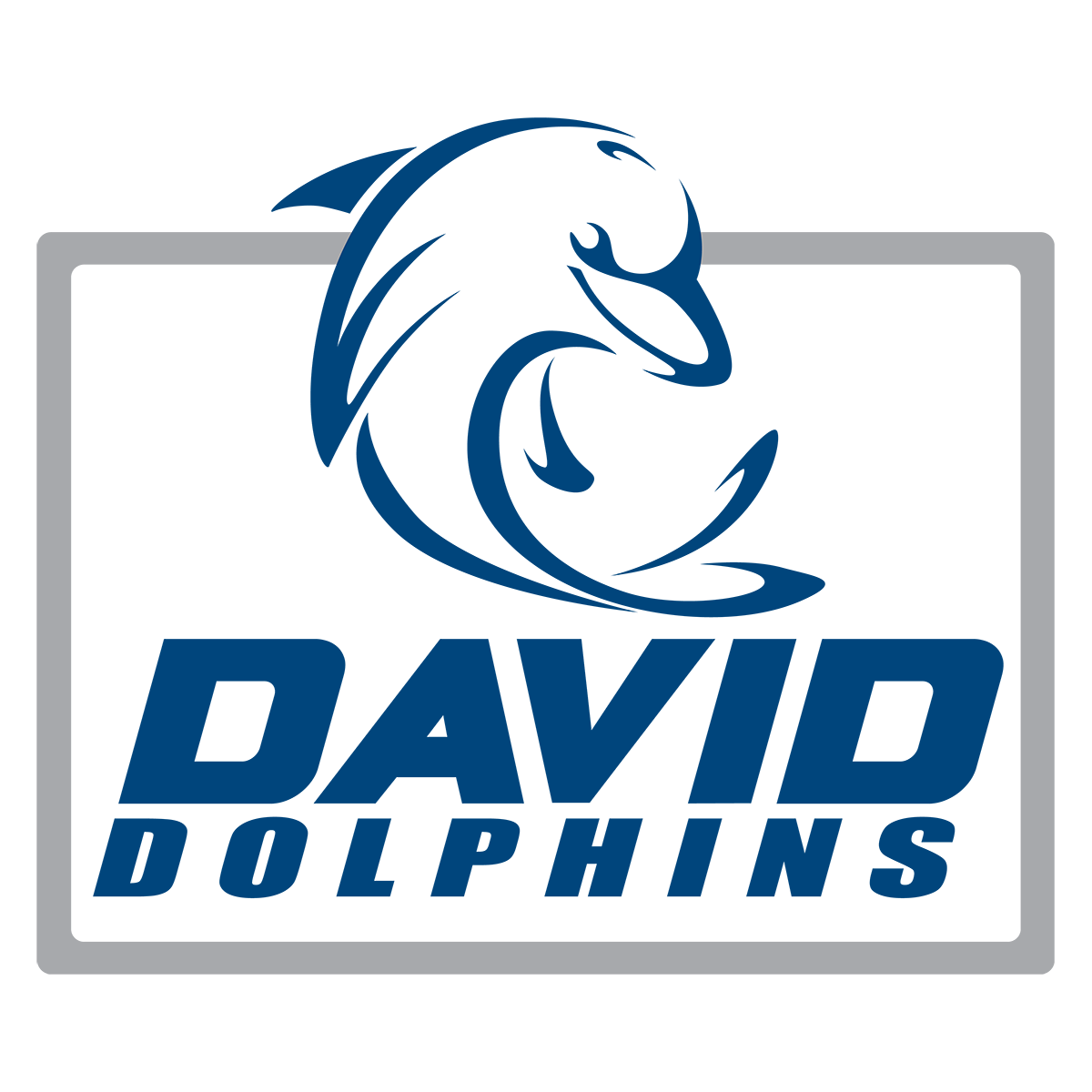 David Dolphins