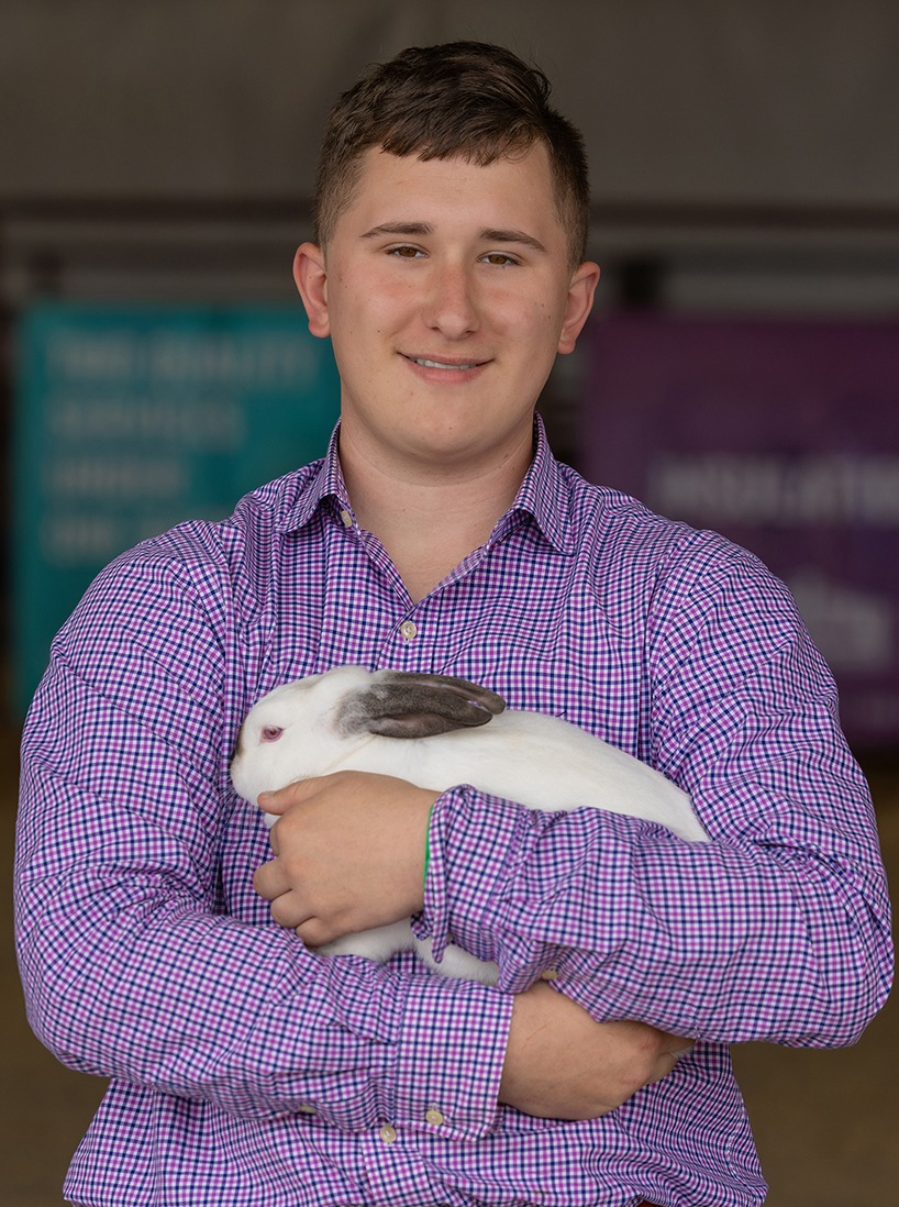 Boy showing a calf in competition.
