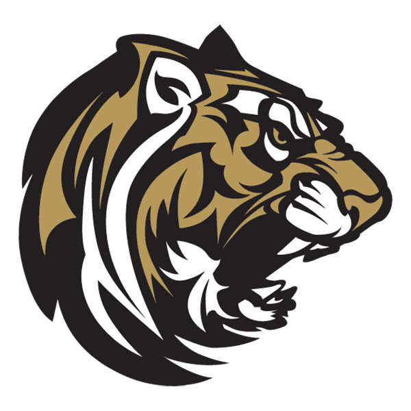 Gold Black and White Conroe Tiger